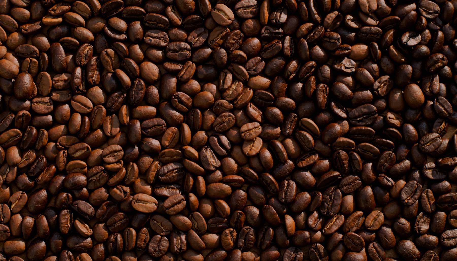 Vista previa del catálogo de Verde Café